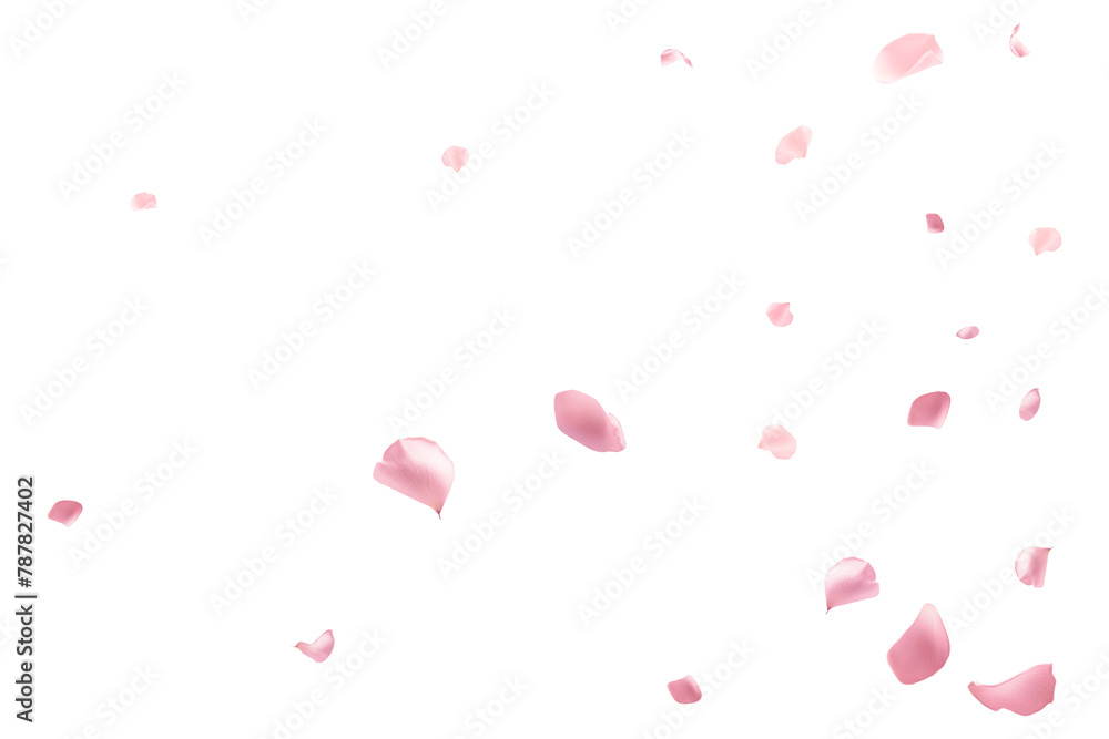 PNG Floating flower petals effect, transparent background