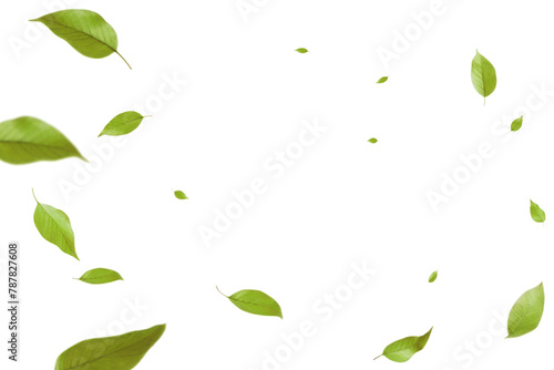 PNG Falling green leaf effect, transparent background