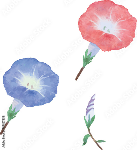 水彩で描いた朝顔のベクター素材のイラストセット