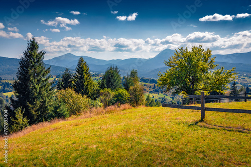Bright summer view of green garden with two highest peaks of Carpathian mountains. Nice morning scene of Stebny village, Ukraine. Beauty of countryside concept background. © Andrew Mayovskyy