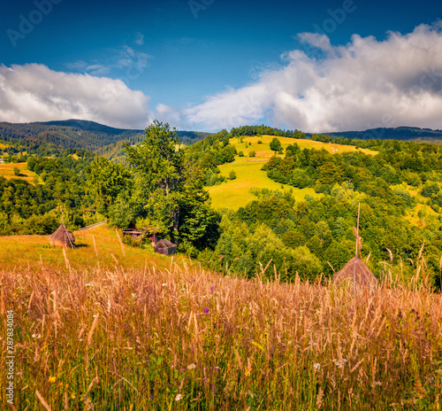 Wonderful morning scene of Rogojel village with haycocks. Bright summer view of Cluj County, Romania, Europe. Beauty of countryside concept background.. © Andrew Mayovskyy