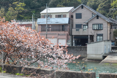 site of a building in countryside with sakura