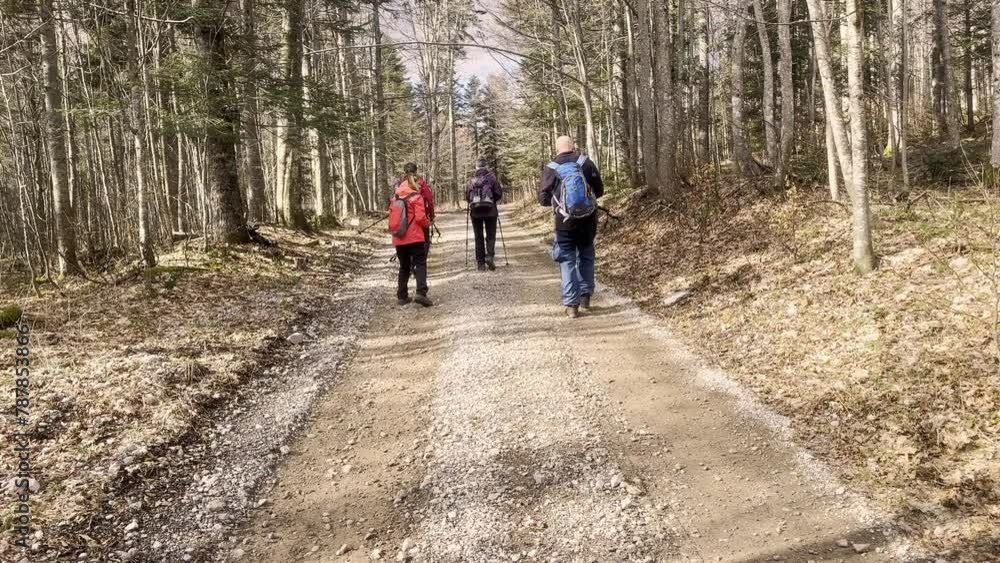 Rear view of senior people hiking on a forest road - slow motion Rear view of senior people hiking on a forest road - slow motion