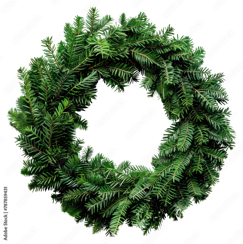PNG A realistic photograph of an isolated wreath tree plant PNG A realistic photograph of an isolated wreath tree plant
