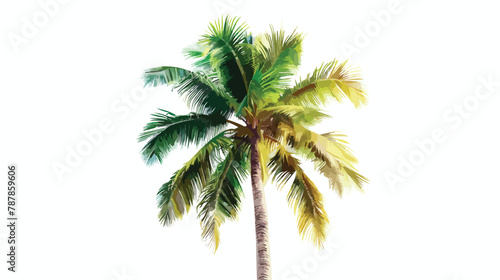 Exotic tropical high detailed palm tree isolated. vector