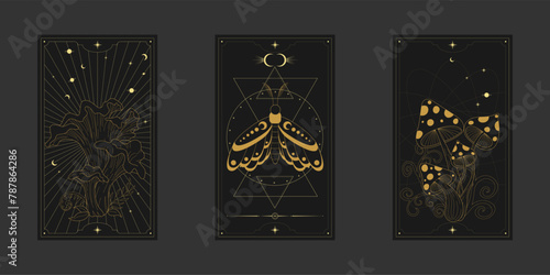 Vector mystic celestial set a with golden outline mushrooms, fly agaric, penny bun, crescents and moon phases. Black occult shiny linear labels with a magical frame stylized as engraving