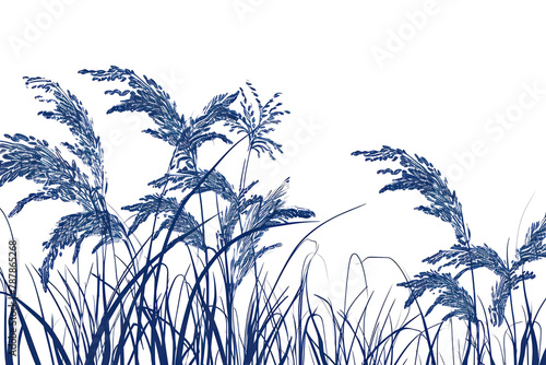 PNG Antique of rice outdoors drawing sketch