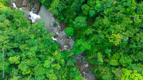 Aerial view of mixed forest, deciduous trees, greenery and waterfalls flowing through the forest. The rich natural ecosystem of rainforest concept is all about conservation and natural reforestation