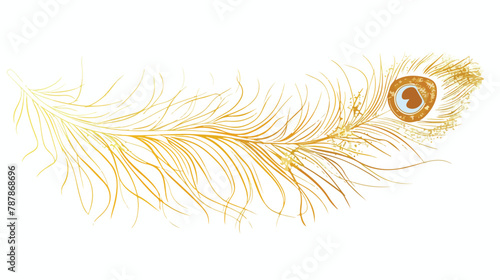 Gold feather of peacock bird abstract plume silhouett