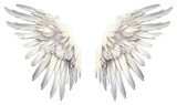 PNG Realistic wings angel feather white