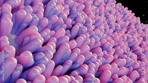 фотографія 3d rendering of the intestinal epithelium is the single cell layer that form the