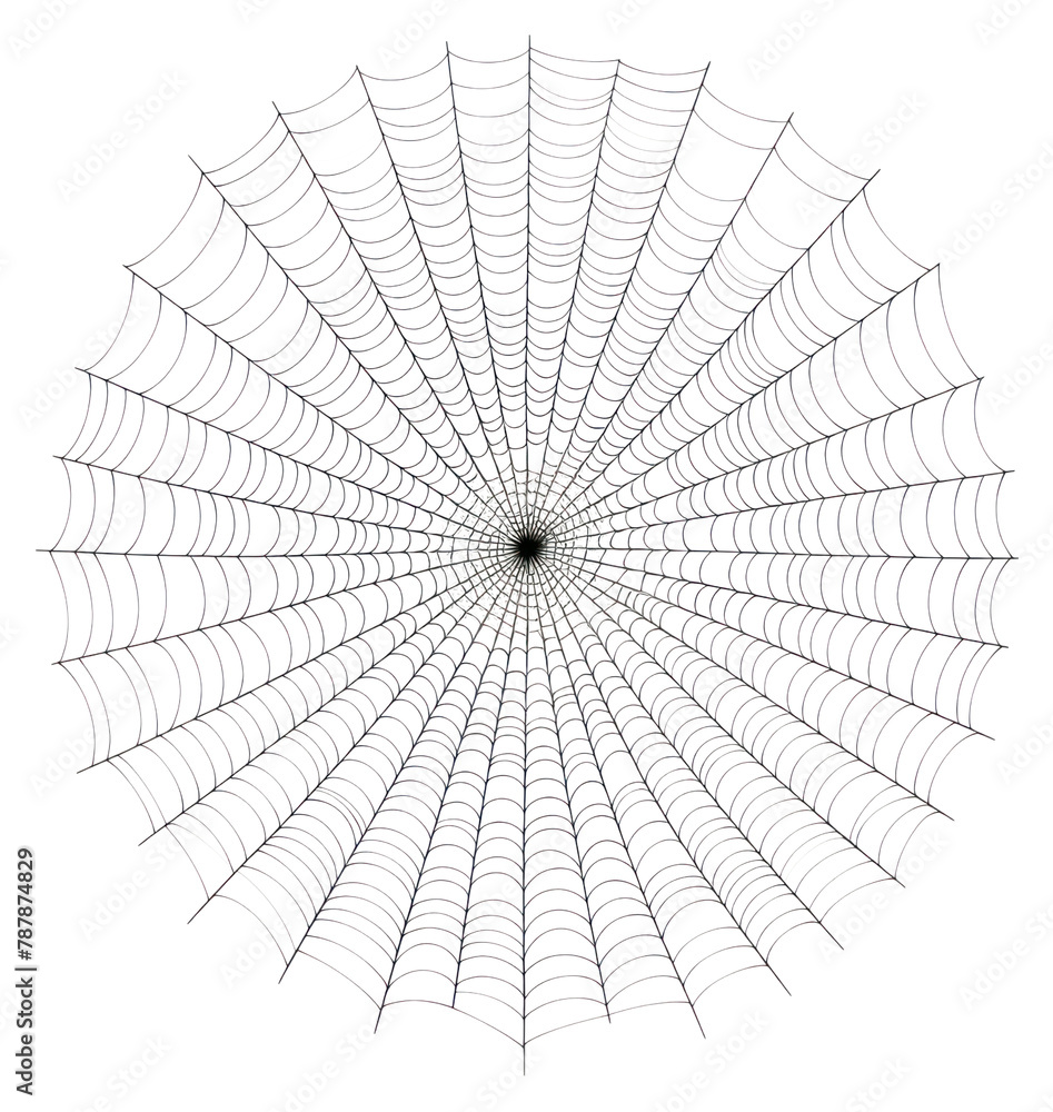 PNG Cobweb backgrounds white background concentric