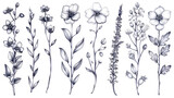 Vector collection of hand-drawn plants, generative Ai