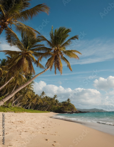 serene beach with palm trees swaying in the breeze