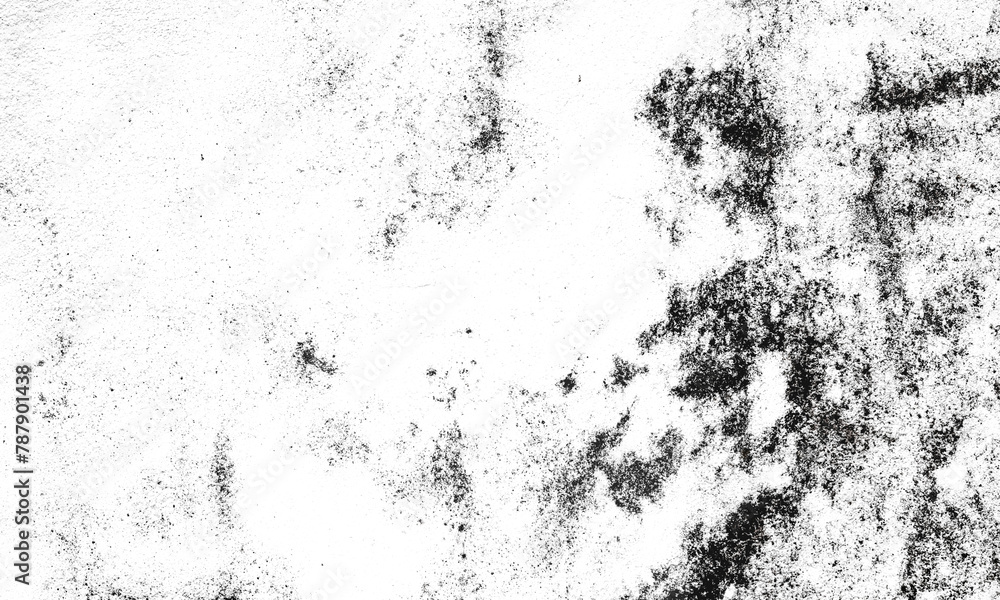 Fototapeta premium Grunge texture background