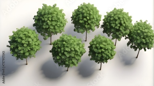a group of garden privet trees in top view with a clear background in 3D photo