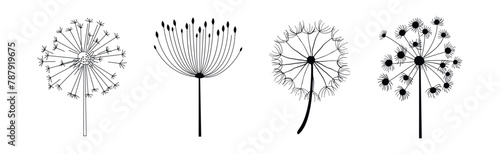 Black Dandelion Flower on Stem with Fluffy Head Vector Set