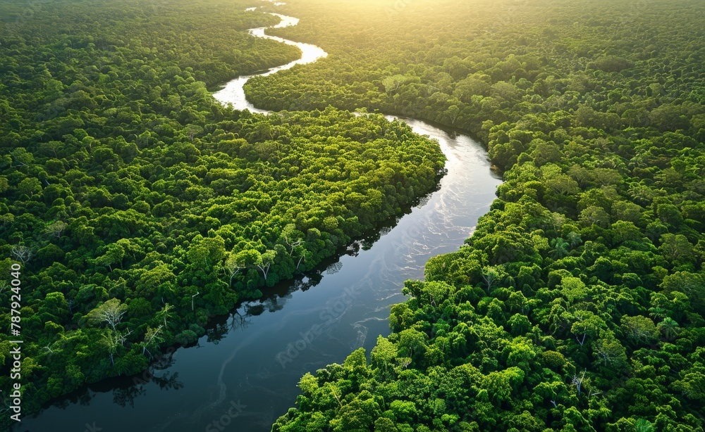 Aerial view of a winding river through a dense forest, illustrating the natural beauty and the importance of protecting wild landscapes.