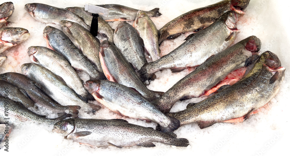 Trout fish in ice on a counter in a market as a background Trout fish in ice on a counter in a market as a background