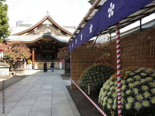 菊の花が飾られている11月の湯島天神（文京菊まつり開催期間）