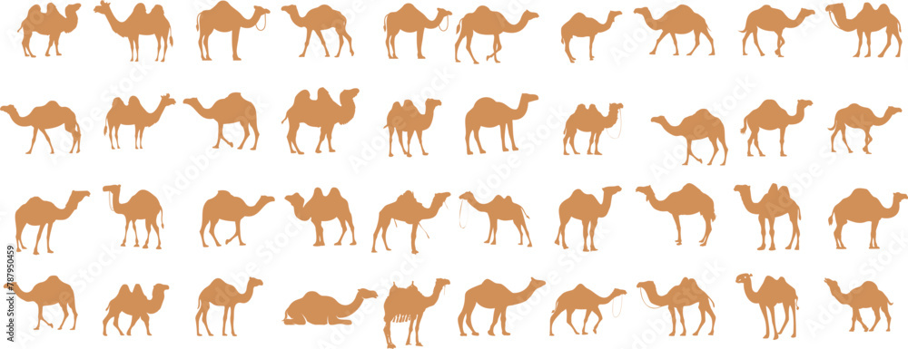 Obraz premium Camel vector illustration, desert animal illustration. Perfect camel clipart for fabric, wallpaper, wrapping paper. Captures camel iconic shape, movement in elegant, simple style