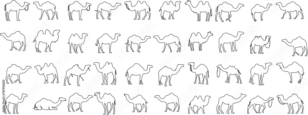 Camel, Line, Art, Minimalist, Sketch, 