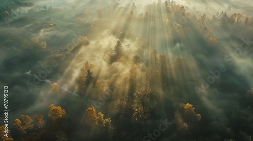 Airview light and shadows in mist. First rays of sun through fog and trees. photo