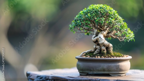 A bonsai tree in a pot on top of wooden table, AI