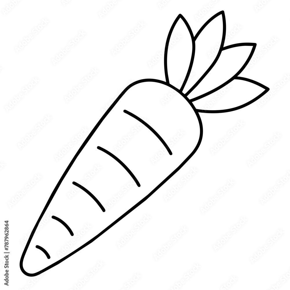 Carrot linear icon. Carrot linear icon.