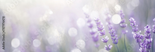 Lavender flowers close-up with a dreamy bokeh background.