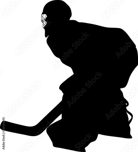 Photography Goaltender