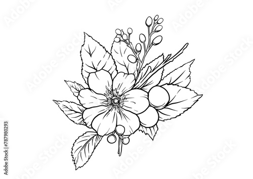 Boutonniere of wild rose flowers and berries Clip art, set of elements for design Outline hand drawing vector illustration. In botanical style