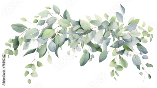 PNG Garland eucalyptus Swags pattern plant leaf