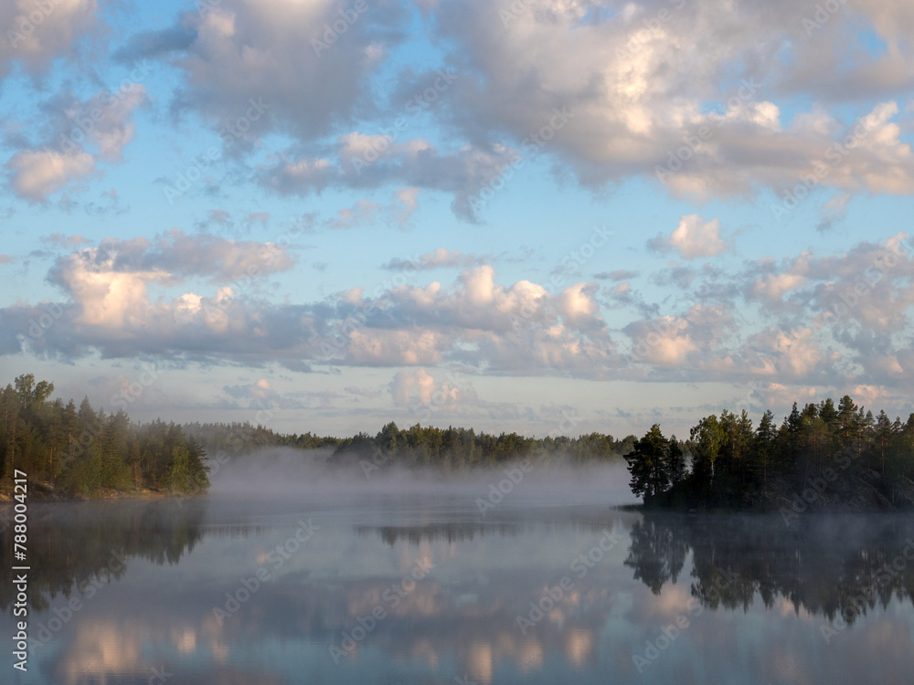 morning landscape with fog