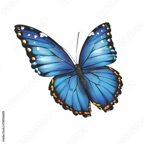 colorful butterfly vector illustration clipart isolated on white background