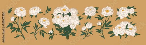 Peony flowers, floral bouquet set. Blossomed buds, Japanese plants, beautiful...