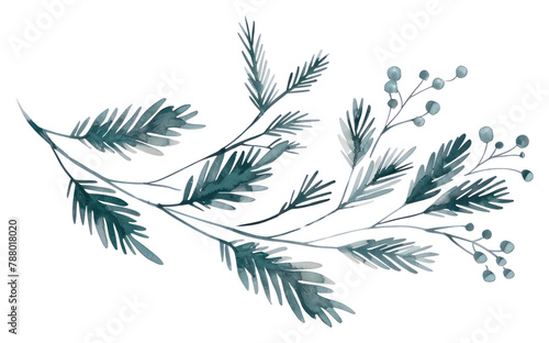 PNG Coniferous branch flat illustration art illustrated graphics