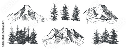 collection of elements of mountains and fir trees vector sketch © bleskk
