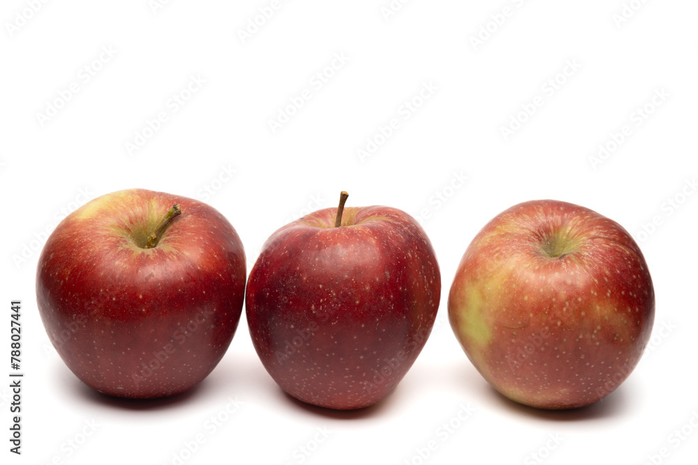 czerwone dojrzałe jabłka na białym tle. jabłko, makro, żółty, jabłek, owoc, czerwień, zieleń, lato, roślin
 - obrazy, fototapety, plakaty 