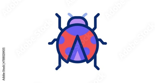 beetle photo