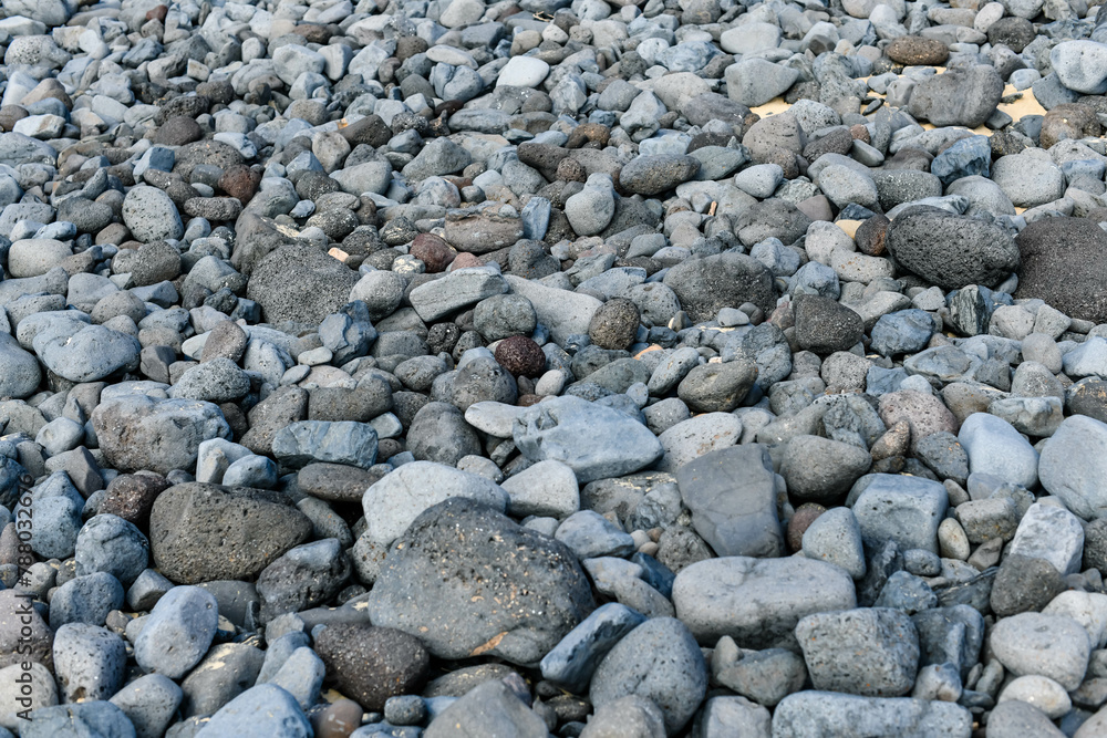 pebble beach on the island of fuerteventura
pebble beach on the island of fuerteventura