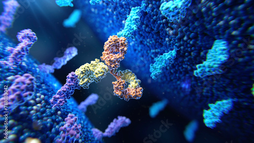 Bispecific antibody in action, illustration photo