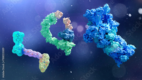 Components of targeted protein degrader drug technologies, illustration photo