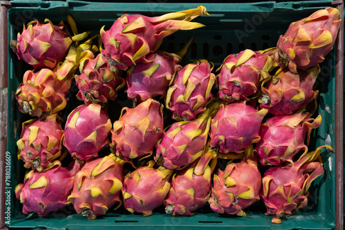 Close-up view of the dragon fruits arranged in the basket for sale in the supermarket.