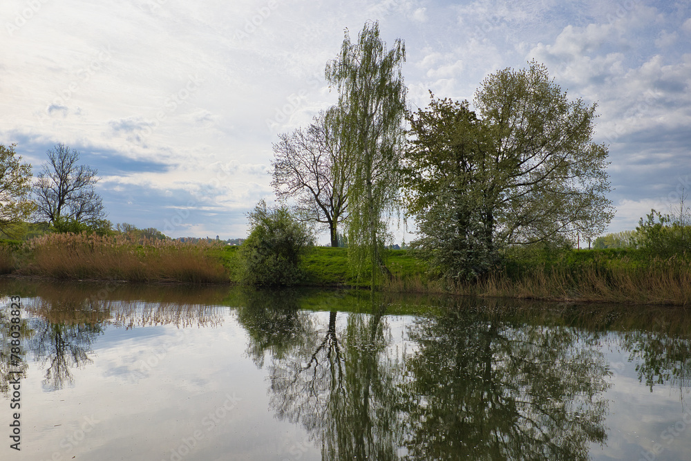 Φωτογραφία Idyllische Spiegelung von Frühlingsbäumen und Wolken im ruhigen Wasser der Bunde