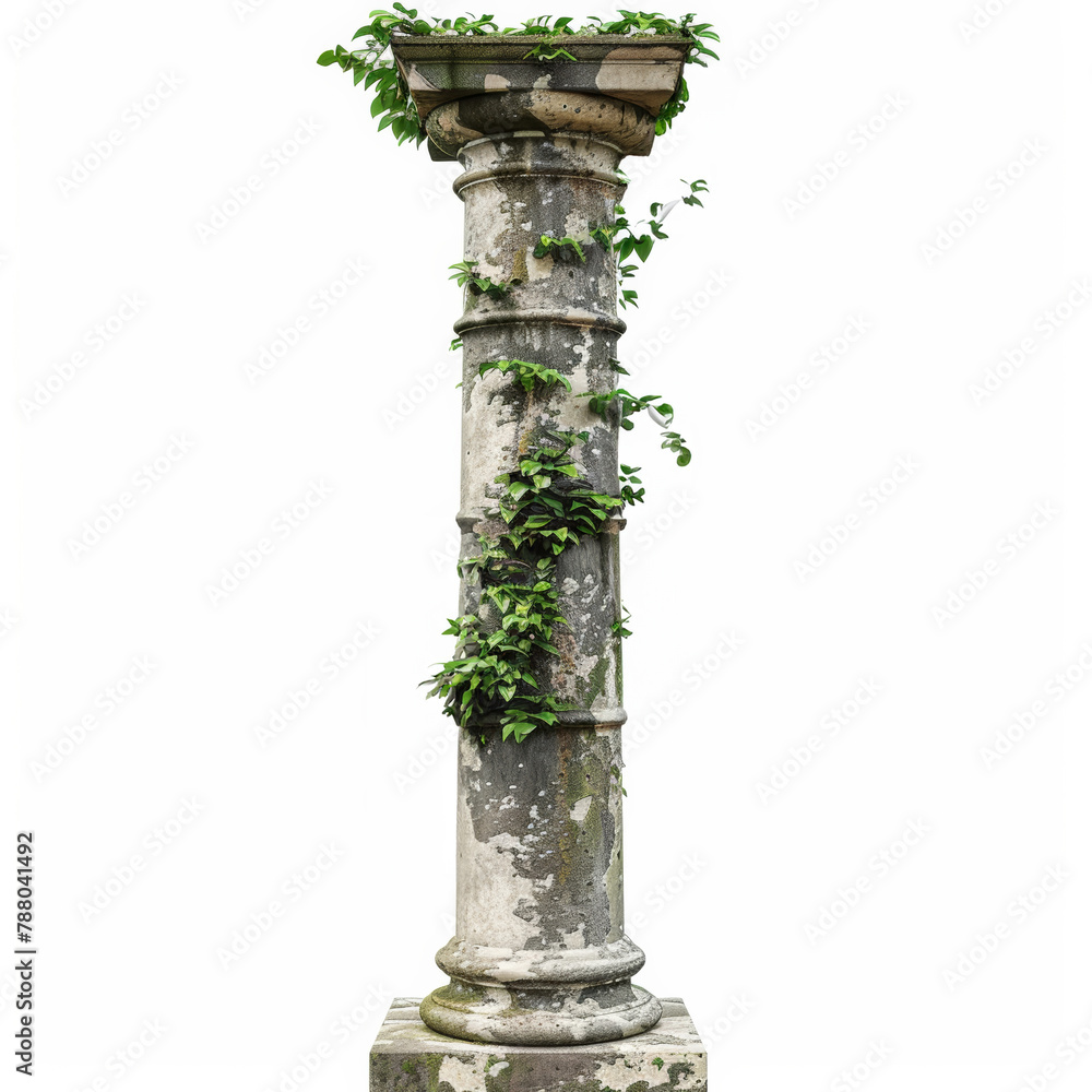 Fototapeta premium Architecture, antique column and vine with growth of plant, nature and leaves on ancient stone structure. Greek pillar, arch and sculpture for garden, landmark or vintage landscape on studio backdrop
