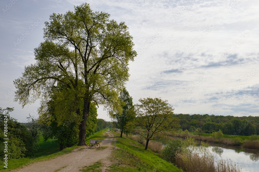 Obraz premium Blick über den Elster-Saale-Kanal auf eine grüne Frühlingslandschaft mit Spiegelungen und weitem Horizont an der Ochsenwegbrücke bei Dölzig, Leipzig, Sachsen, Deutschland