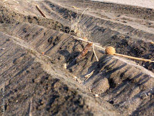 Macrofotografia in primo piano di spiaggia solitaria, con orme di pneumatici, legnetti solitari.  photo