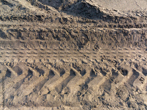 Macrofotografia in primo piano di spiaggia solitaria, con orme di pneumatici, legnetti solitari.  photo