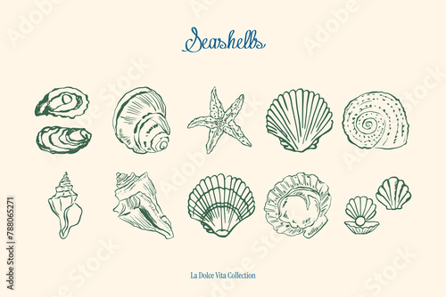 Minimalist hand drawn seashells vector illustration collection. Art for greeting cards, wedding invitations, poster design, postcards, branding, logo design, background.